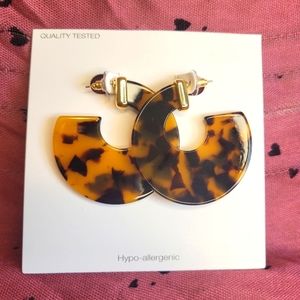 🔥NEW!🔥Hypo-allergenic Resin hoop Earrings!🤯